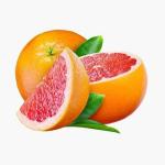 Seeds of Change Organic Quinoe